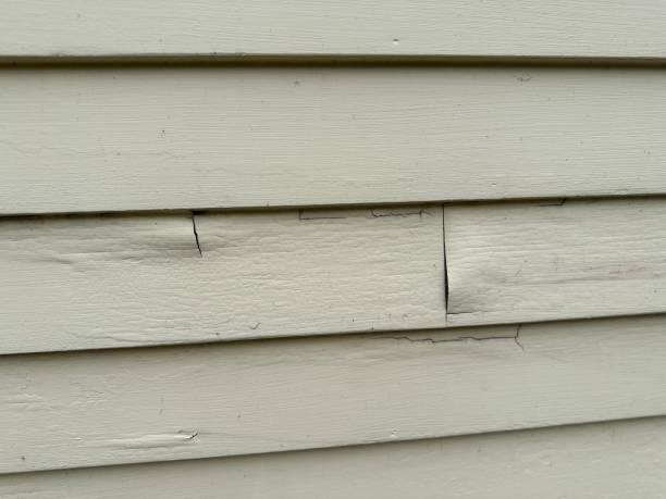 Siding for Multi-Family Homes in Halfway, MD